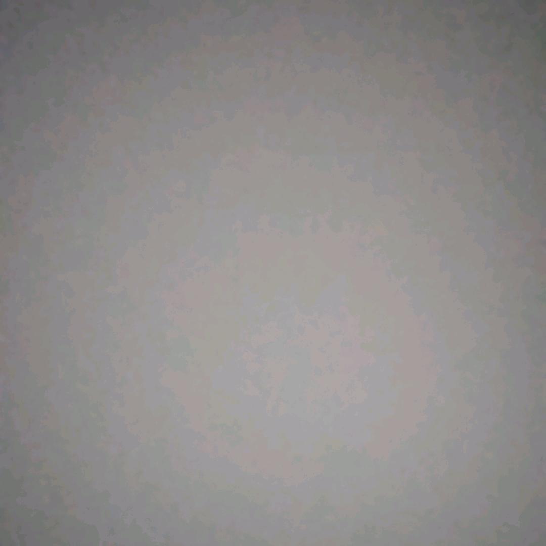 陈老总