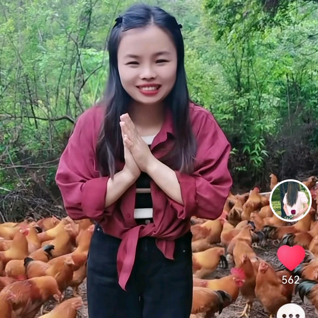 养鸡小妹🐥