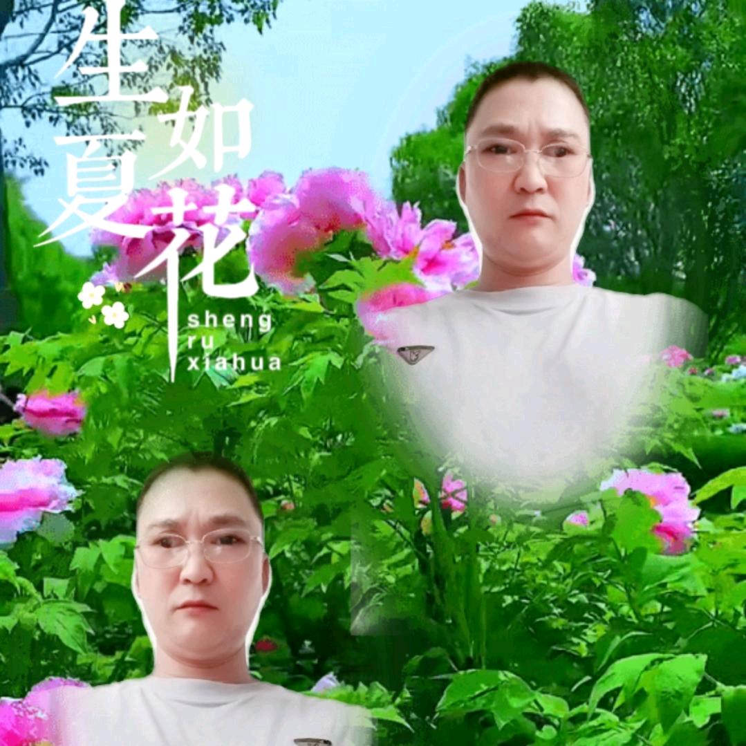 丁庆雄