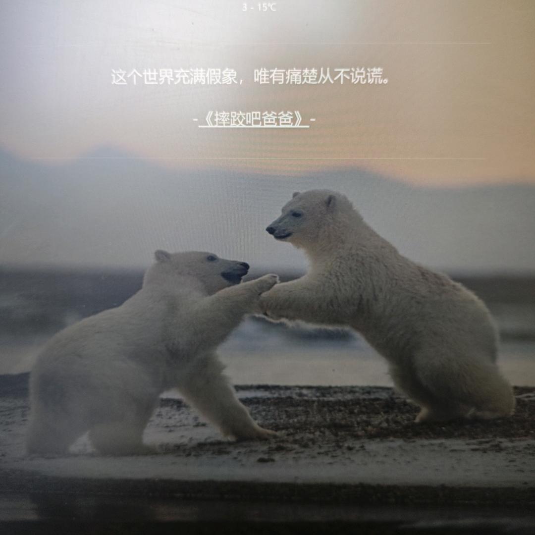云淡风清