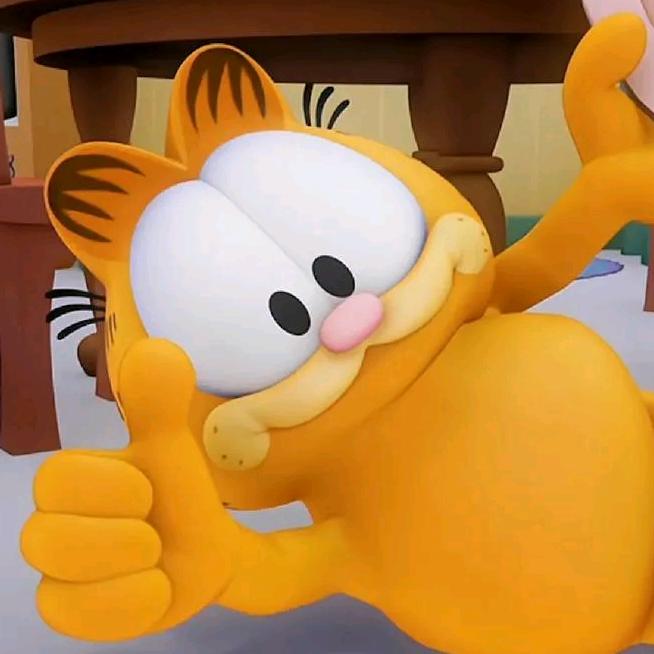 加菲猫F