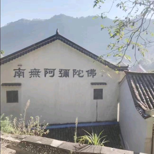 侯哥