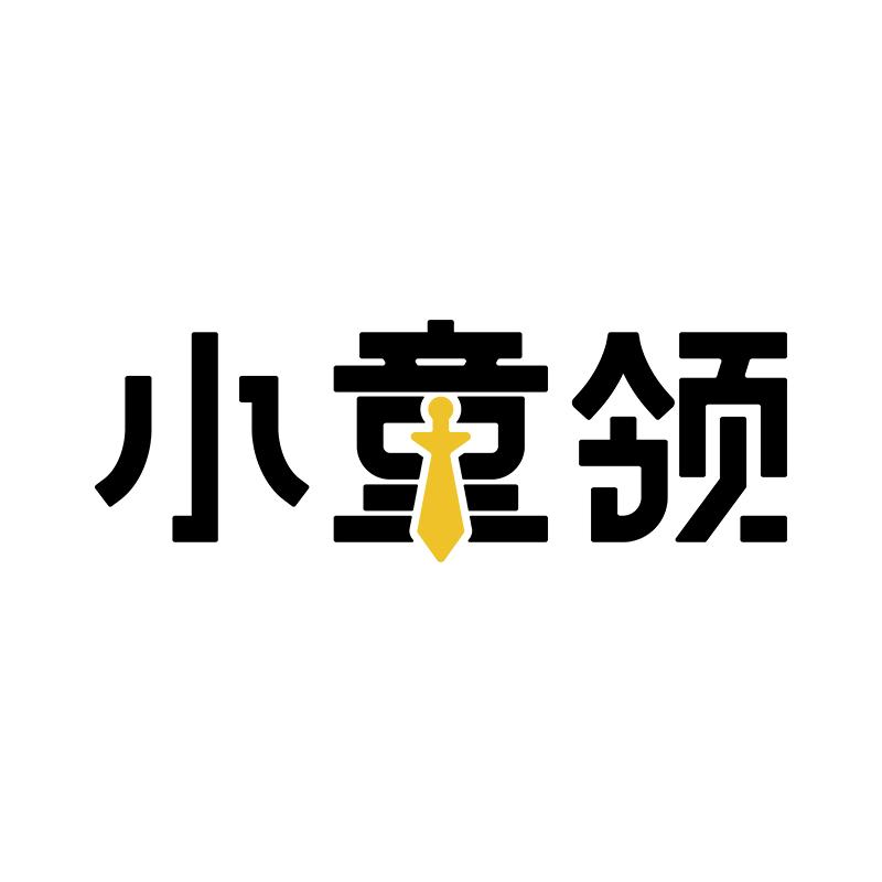 小童领婴童用品旗舰店
