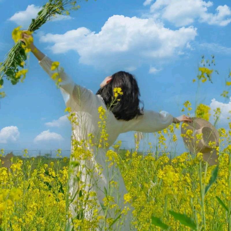 小欣带你自驾游川西