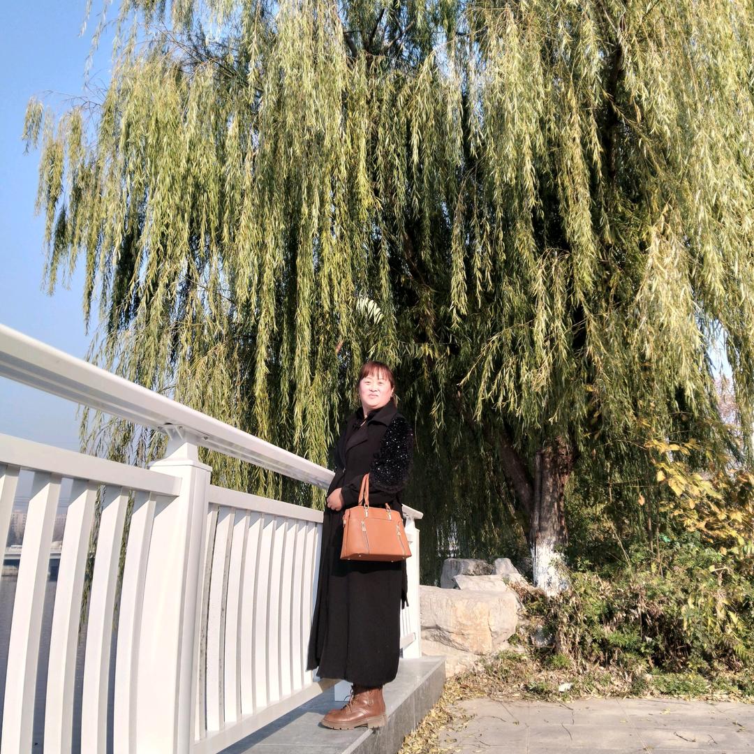 怎么潇洒怎么活