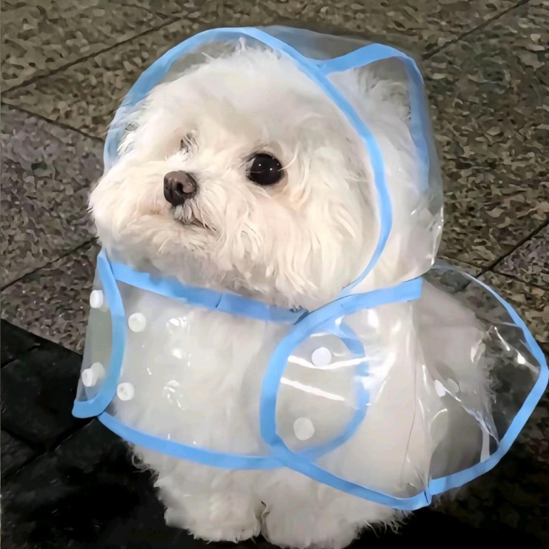 起风了