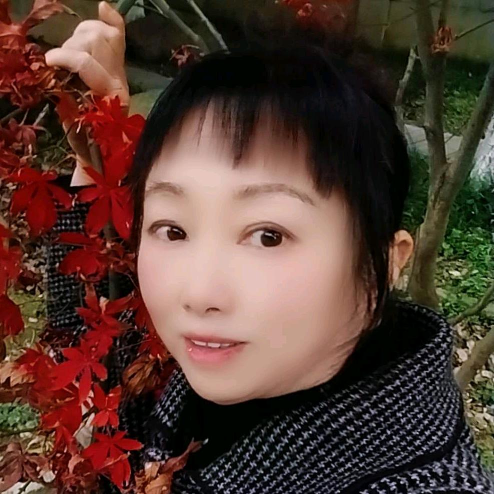 一剪寒梅(好物在橱窗)