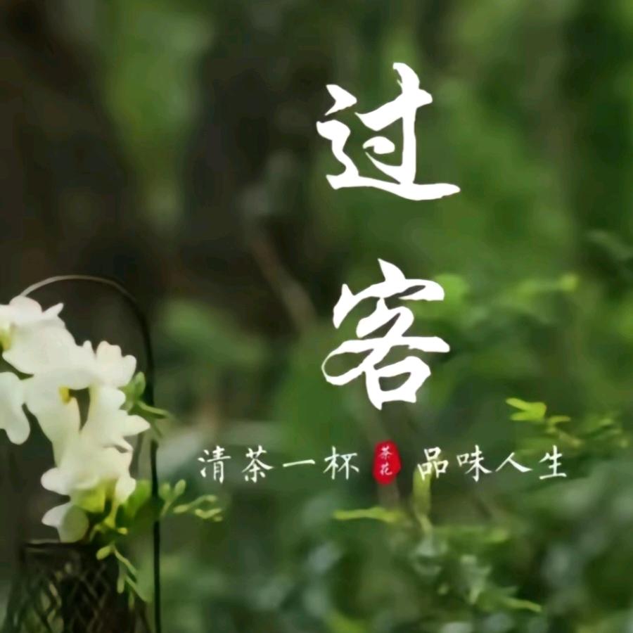 水🥰不🍋在᭄仙
