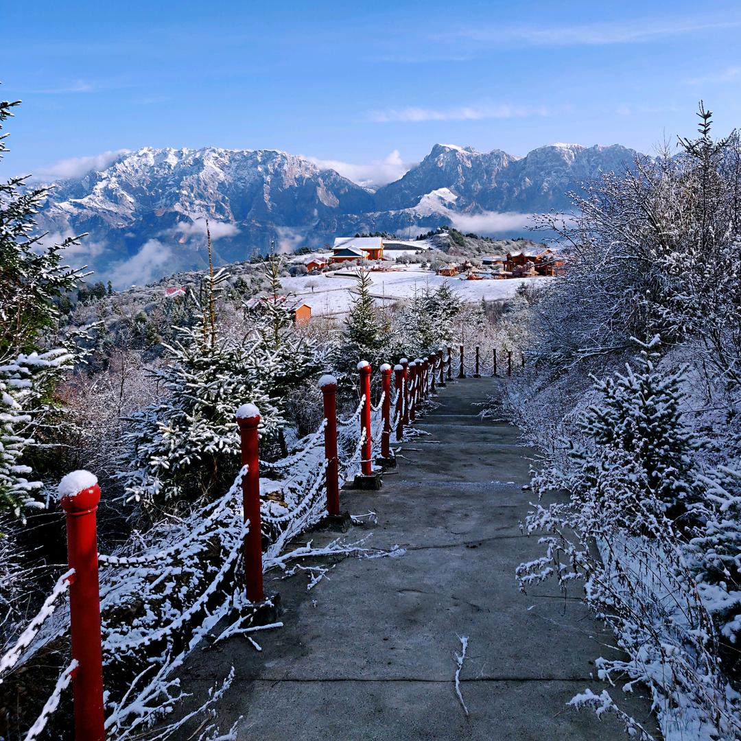 半城烟沙