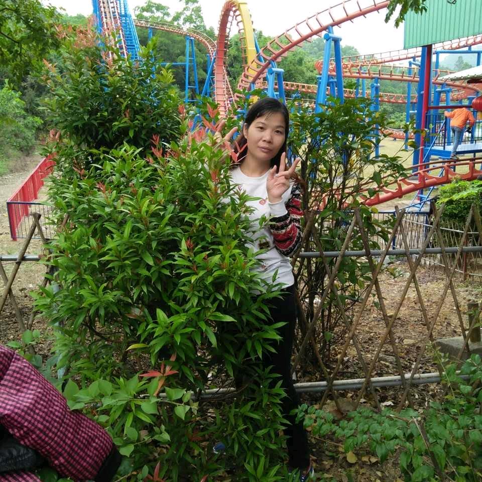 晚静