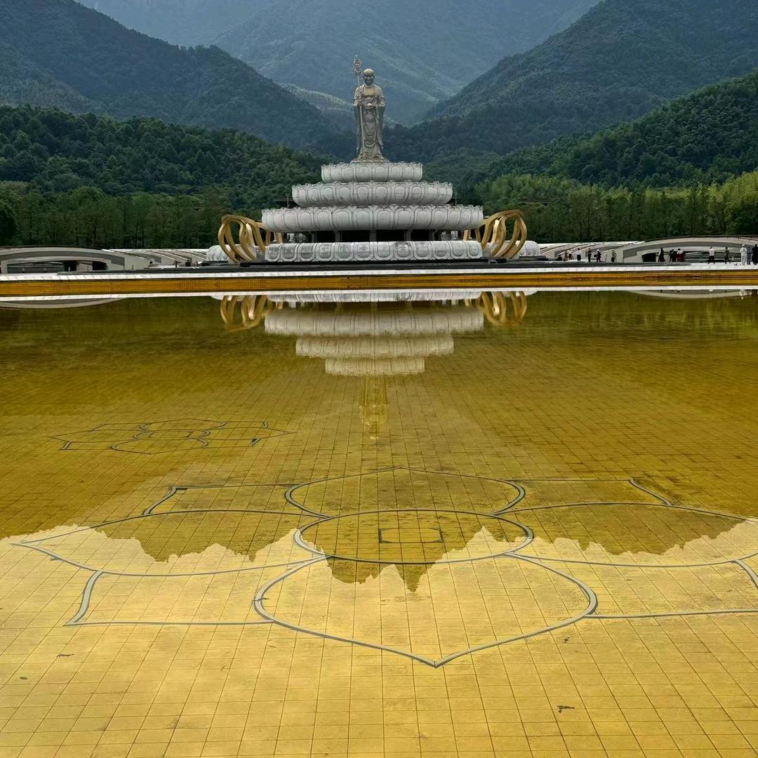 亳饰整装 好运莲莲