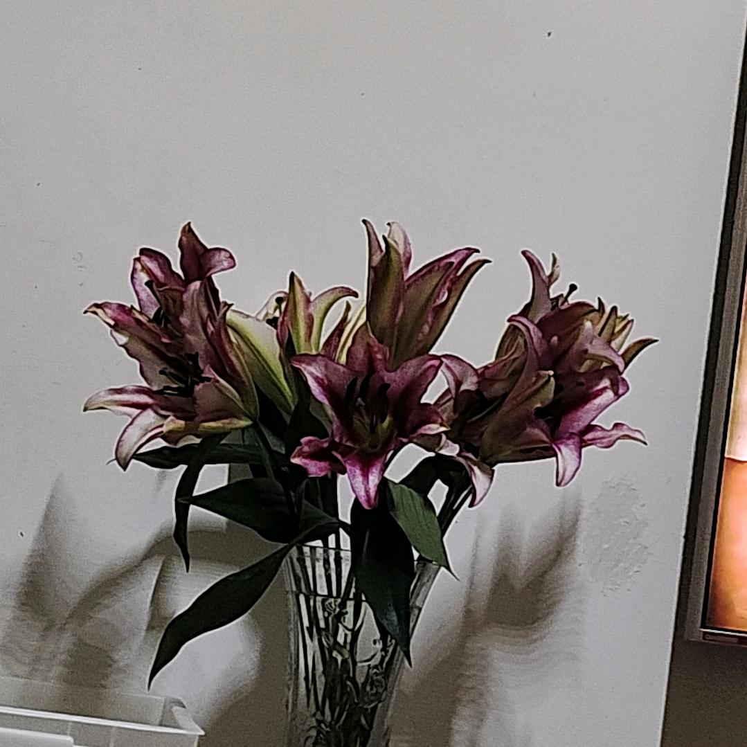 莫愁