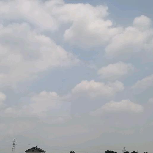 尕尕需要抱大腿🫧