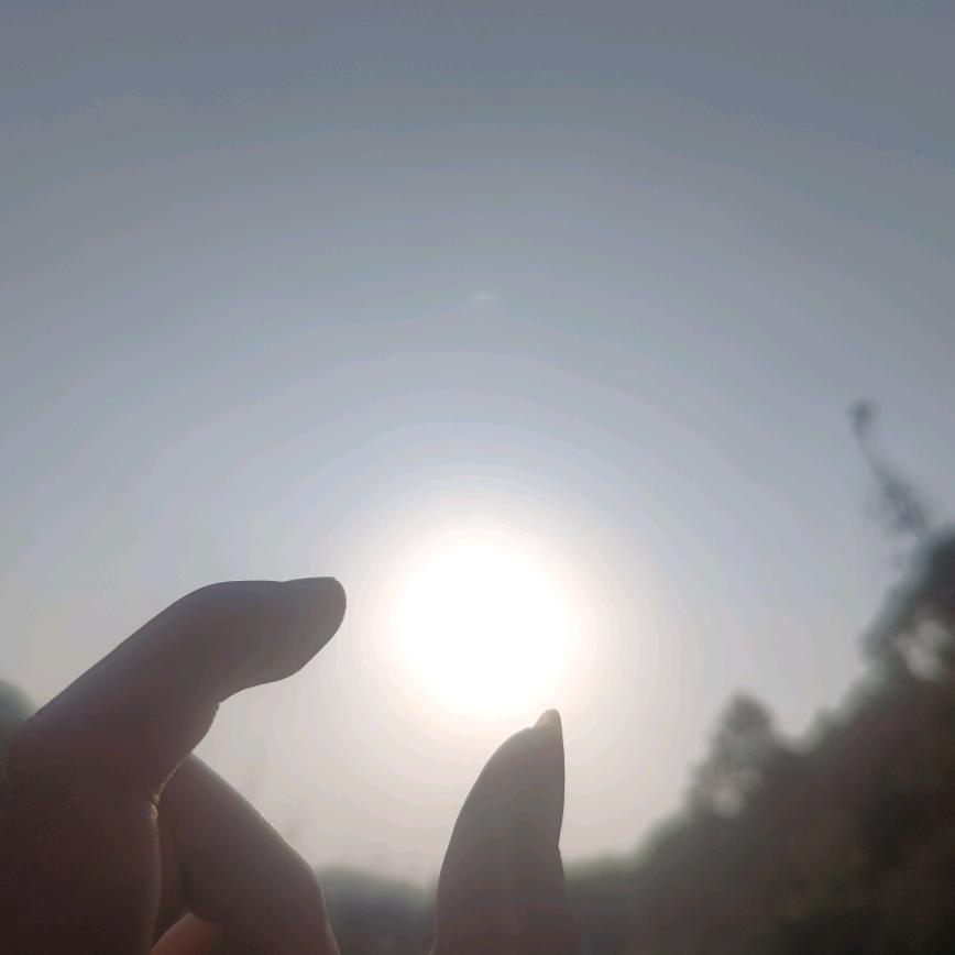 浔光夕