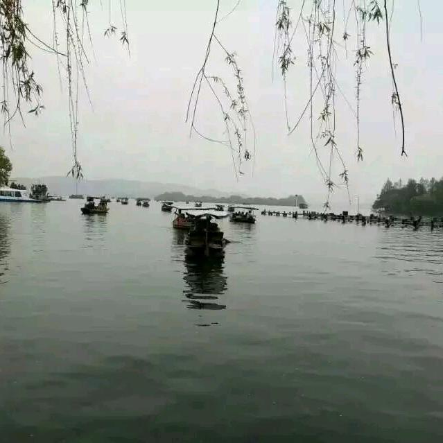 ╭( ′• o •′ )╭☞就是这个人