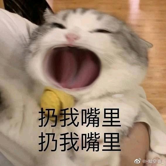 🌈摆烂小雍🥰头像