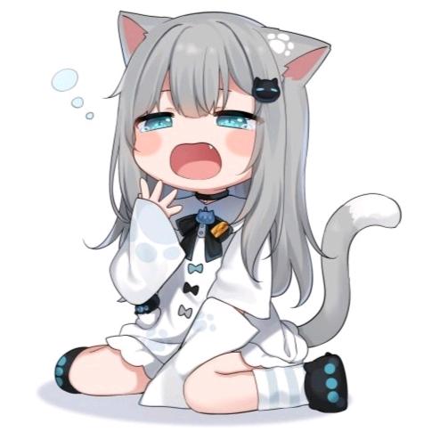 猫雨nacho