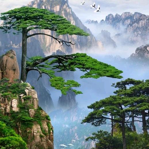 少年已不再年少