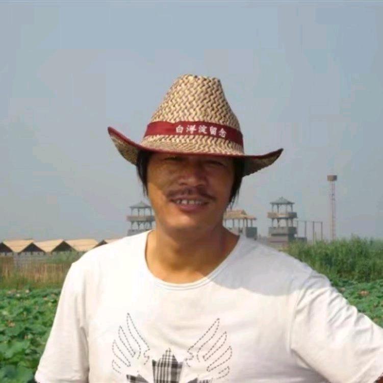 飞