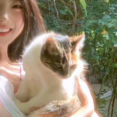 @豆豆