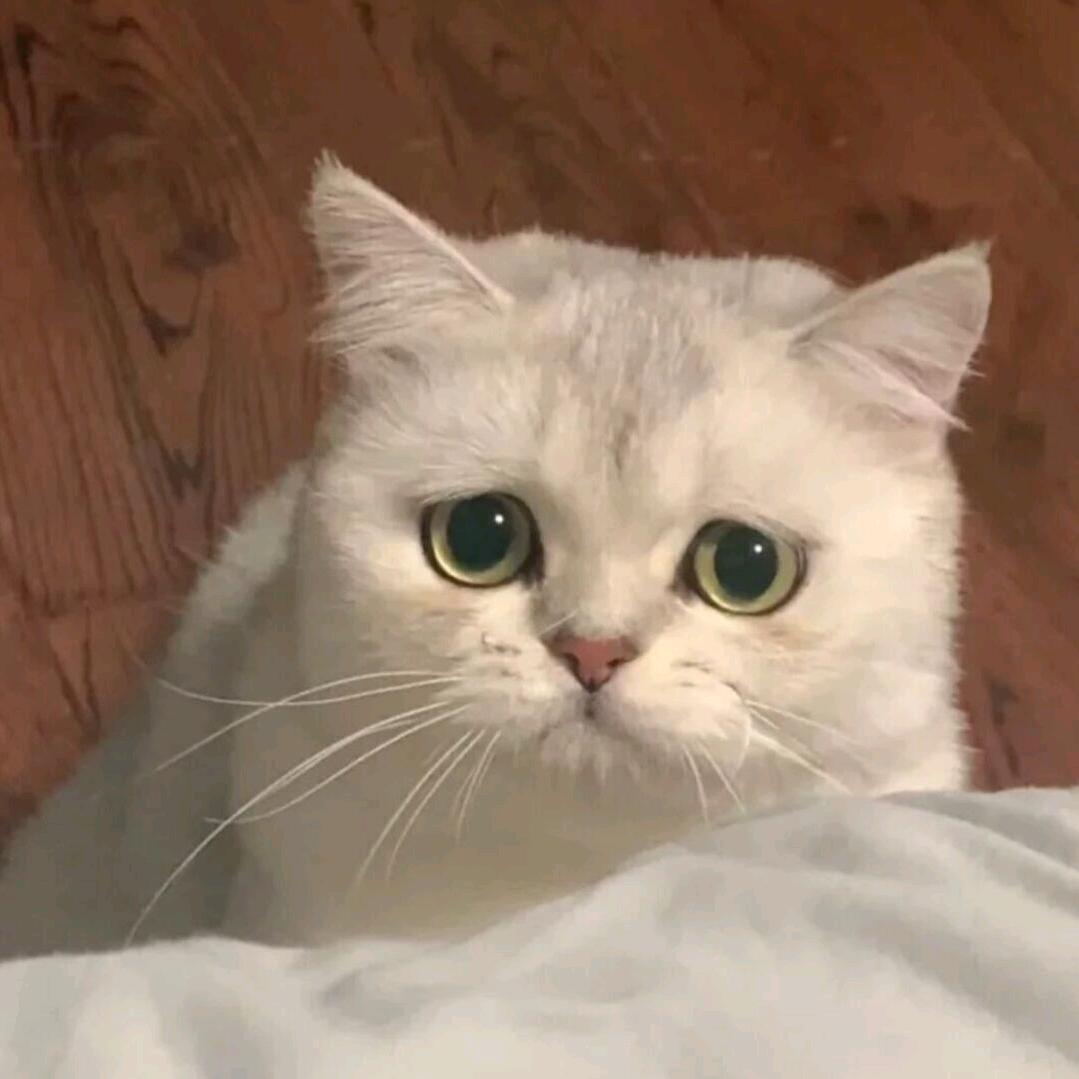 Cc