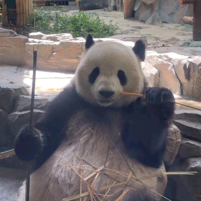 小吴伴奏