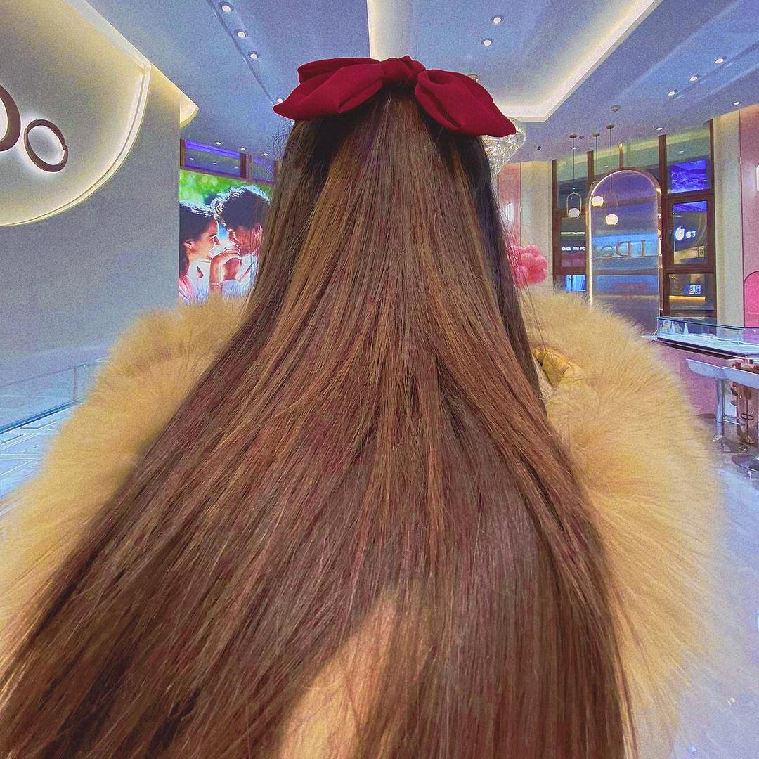 夜晚出没的懒猫