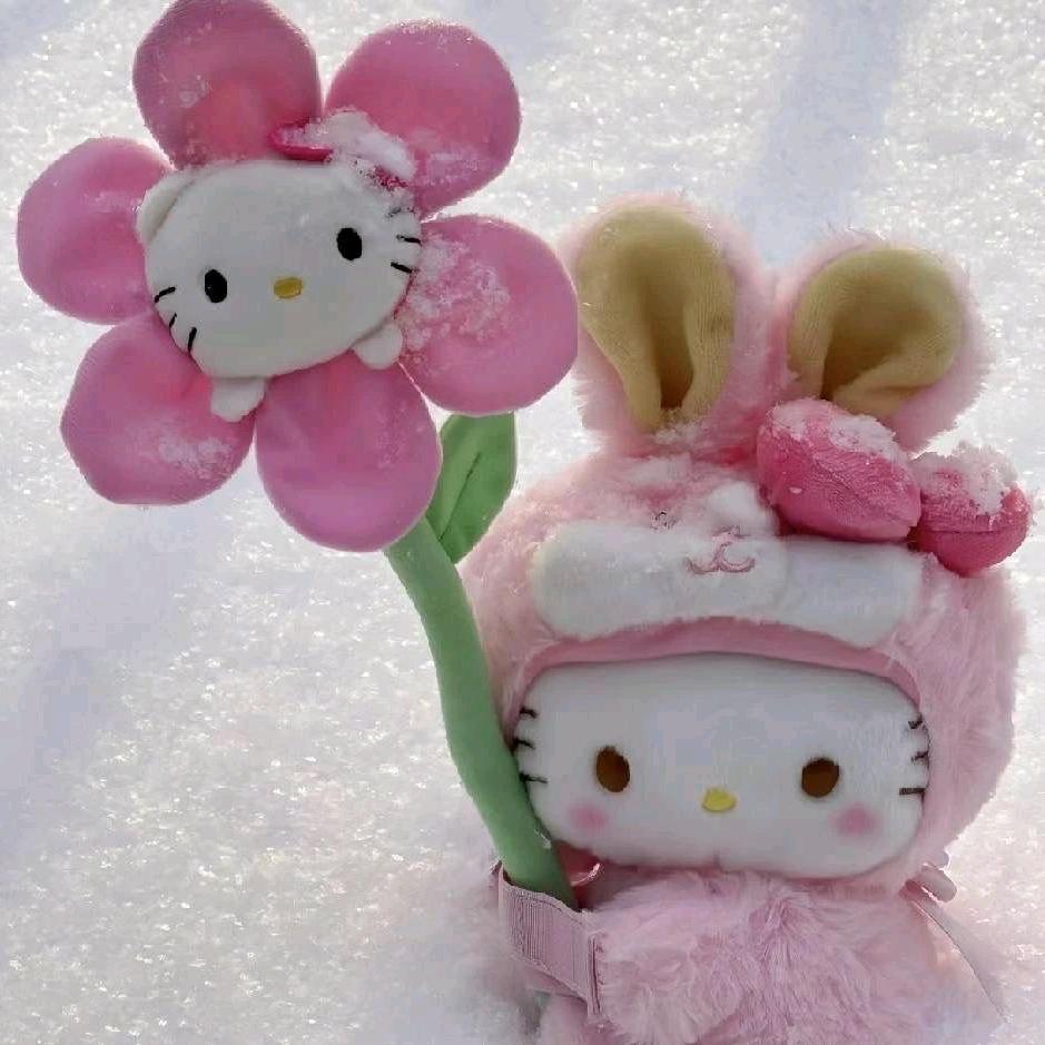 第四十四次日落