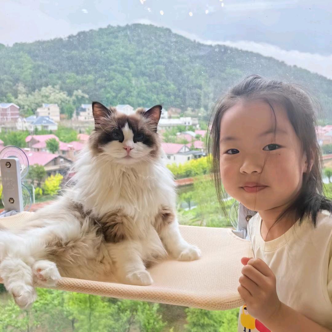 Yumi家的喵姐妹