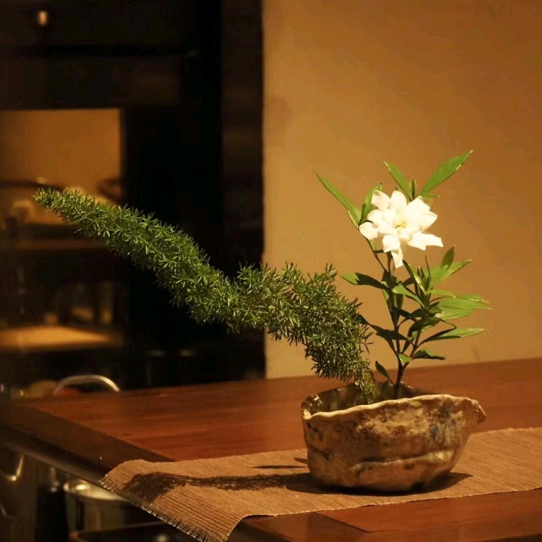 朱家公主