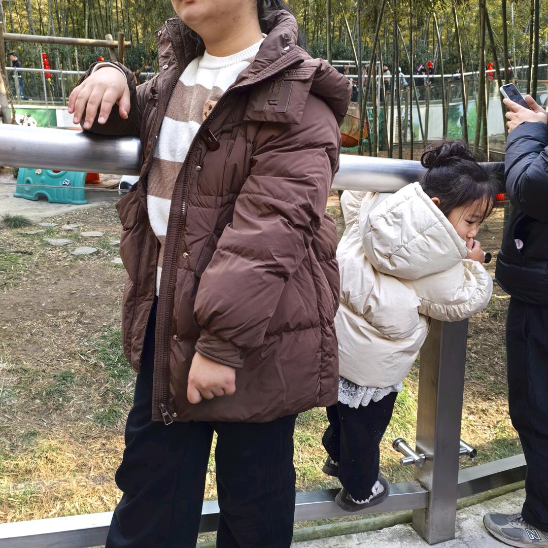 云才