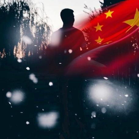 梦的怒放丿