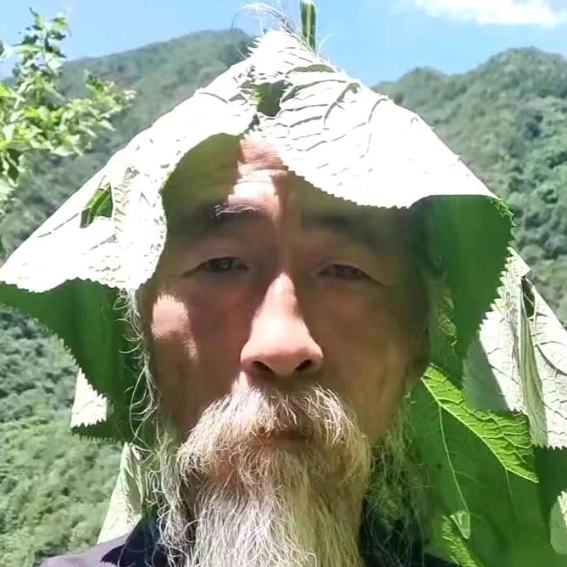 叶公阿