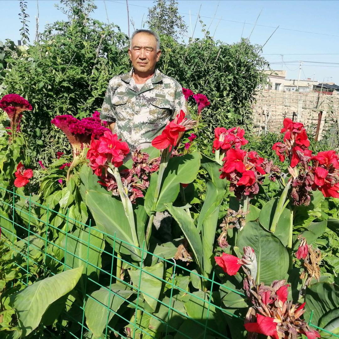 吐斯木汉  Tusıphan