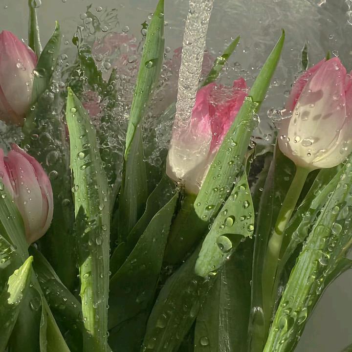 不要唐突