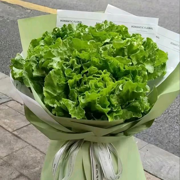 骑着蜗牛去散步