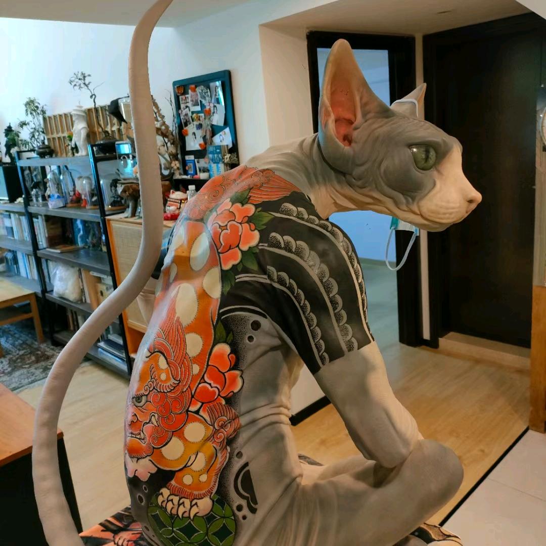 葛涛