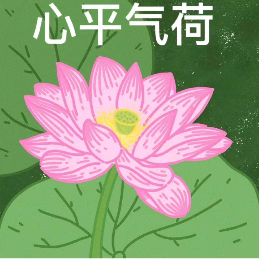 花开富贵zph