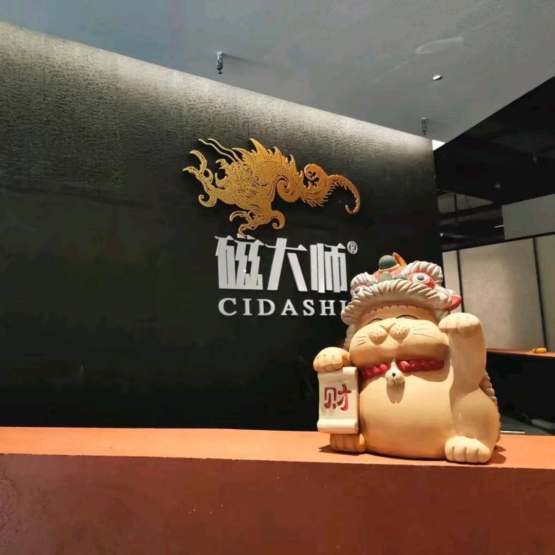 《磁大师》