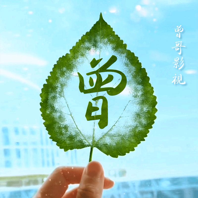 固始曾哥