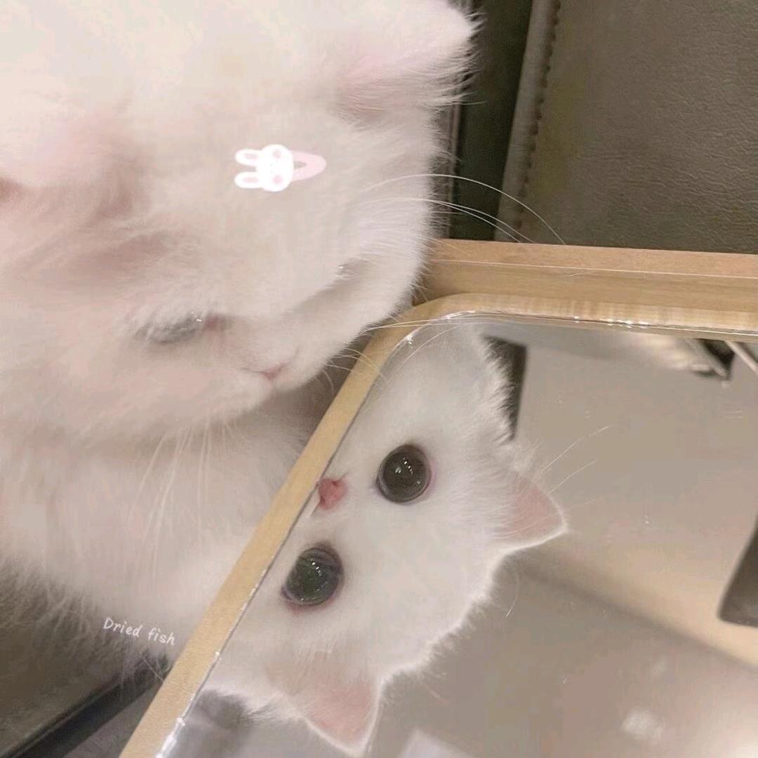 小小.