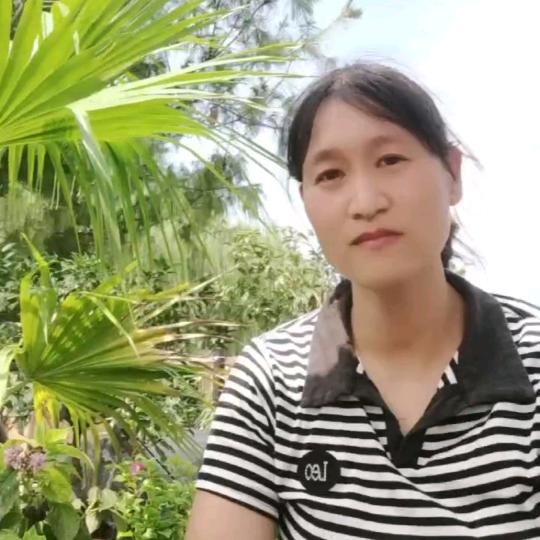 莹月团购