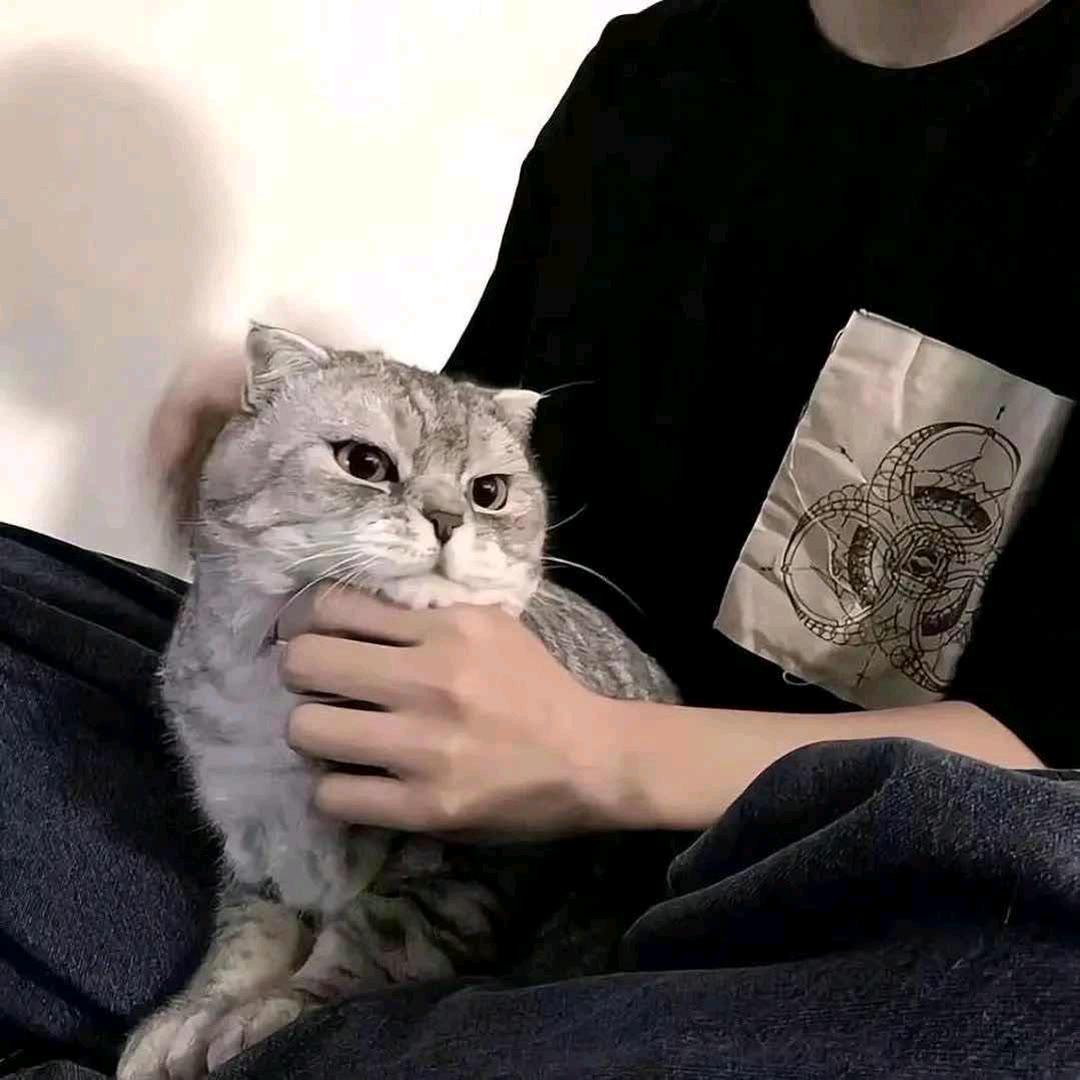 小橘文漫