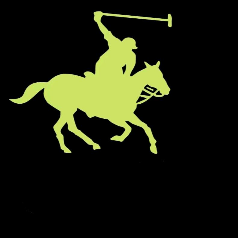 新疆春季电子商务有限公司2号