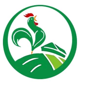 云南 茶山土鸡 孵化有限公司
