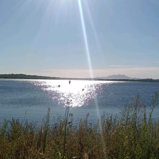 小王（花鲢专供）