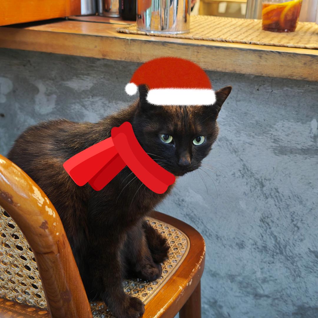 小粉豹(见过孙燕姿两次版)