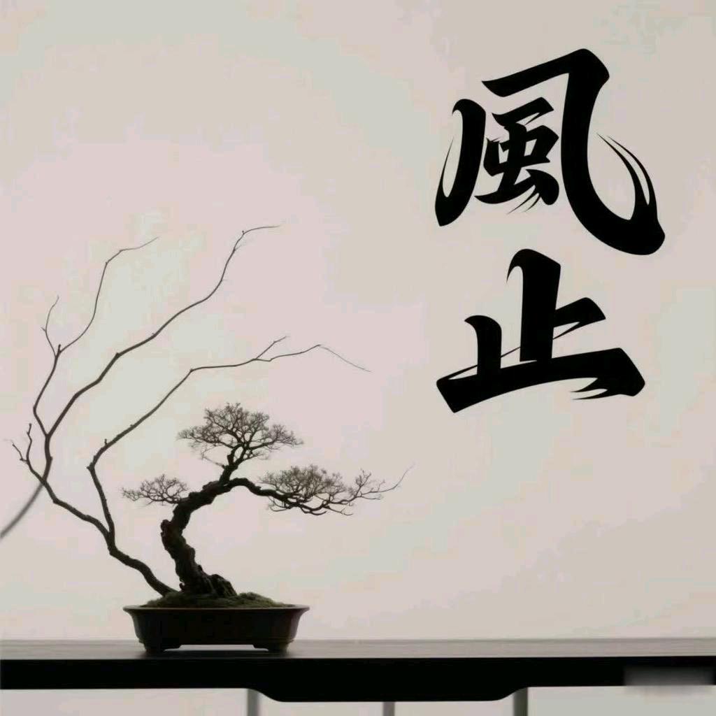 风止处造型盆景