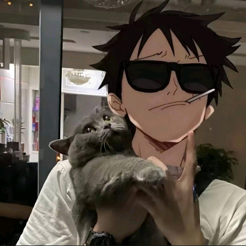 七只猫的狗