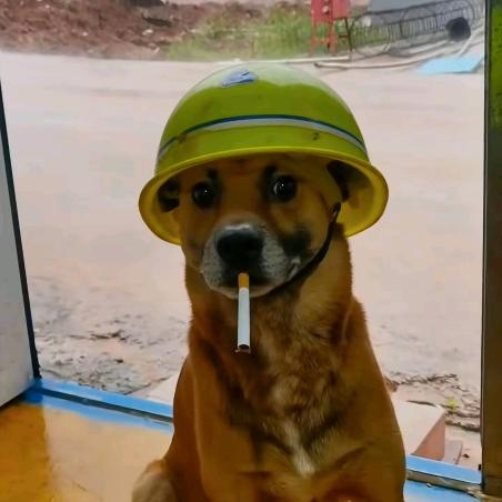 枯木望逢春